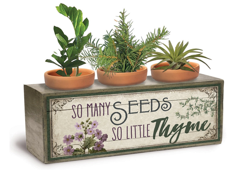 mini flower pots with seeds Divinity So Many Seeds Three Pot Floral Purple 10 x 4 Wood Standing Planter Seedling Box