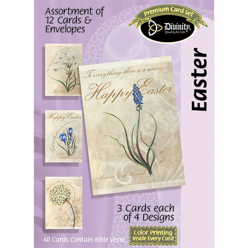 Divinity Boutique Boxed Cards: Easter- Flowers