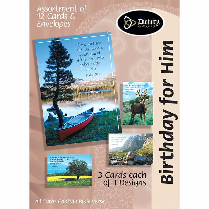 Divinity Boutique Boxed Cards: Birthday For Him