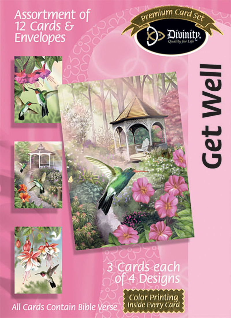 Divinity Boutique Boxed Cards: Get Well, Hummingbirds