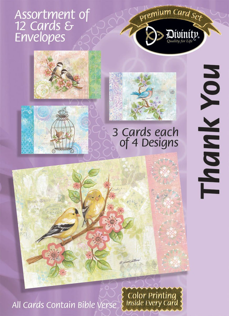 Divinity Boutique Boxed Cards: Thank You, Pretty Birds: Scripture