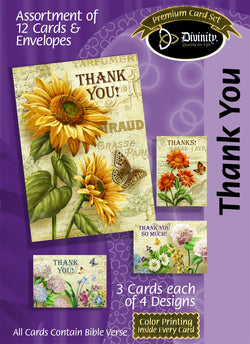 Divinity Boutique Boxed Cards: Thank You, French & Flowers Scripture