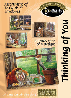 Divinity Boutique Boxed Cards: Thinking Of You, Barn Windows