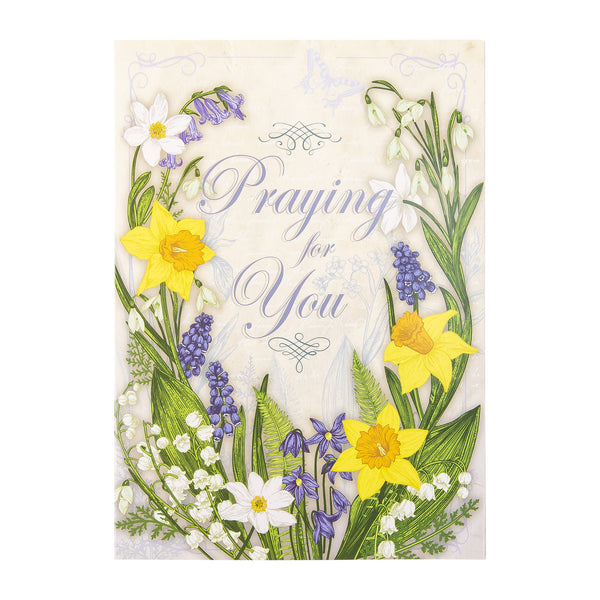 Single Cards - Praying for You - May God Colossians 1:3 (6 pk)