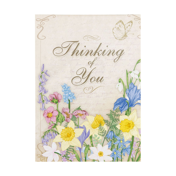 Single Cards - Thinking of You - In Touch Philippians 4:6 (6 pk)